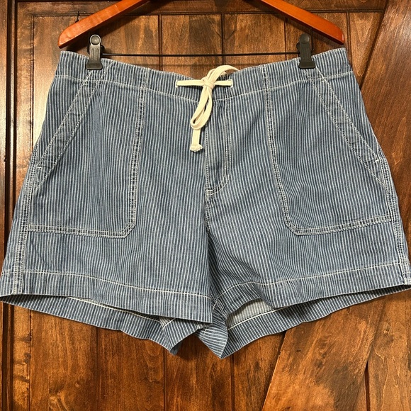 LOFT Pants - LOFT Blue Striped Women's Shorts